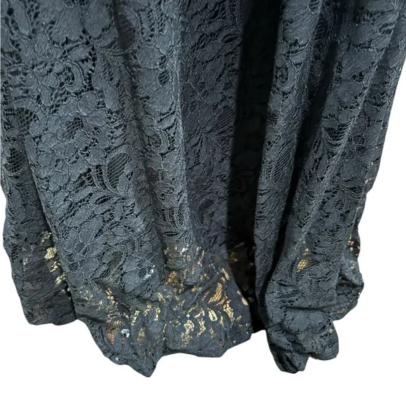 Calvin Klein Black Lace/Satin Floor Length Maxi Ball/Prom Dress-size 2 - Picture 7 of 12